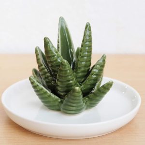 PUDDING CABIN Aloe Ring Holder,Cactus Ring Dish,Jewelry Holder Trinket Tray for Rings Earrings Necklace Organizer,Bridesmaid Christmas Birthday Gift for Women Girls - 6