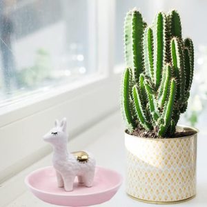 ROSA&ROSE Cat Ring Holder Trinket Tray Ceramic Jewelry Dish Porcelain Ring Organizer Gift for Women, Girlfriend or Valentine's Day (Multi) - 6