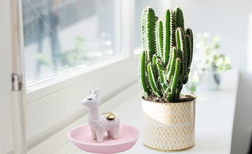 ROSA&ROSE Cat Ring Holder Trinket Tray Ceramic Jewelry Dish Porcelain Ring Organizer Gift for Women, Girlfriend or Valentine's Day (Multi) - 6